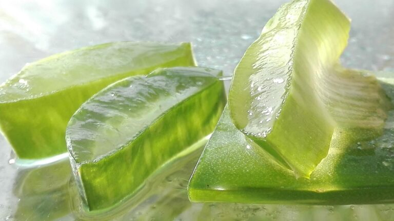 aloe vera gel benefits for skin