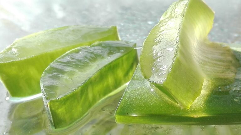aloe vera gel benefits drinking