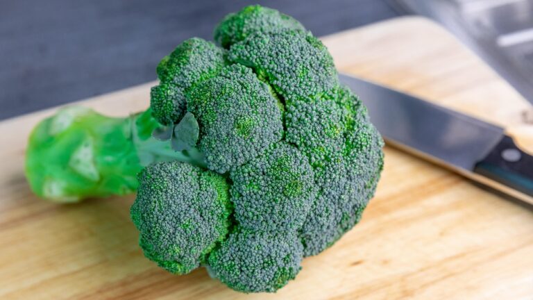 natural appetite suppressants for dogs